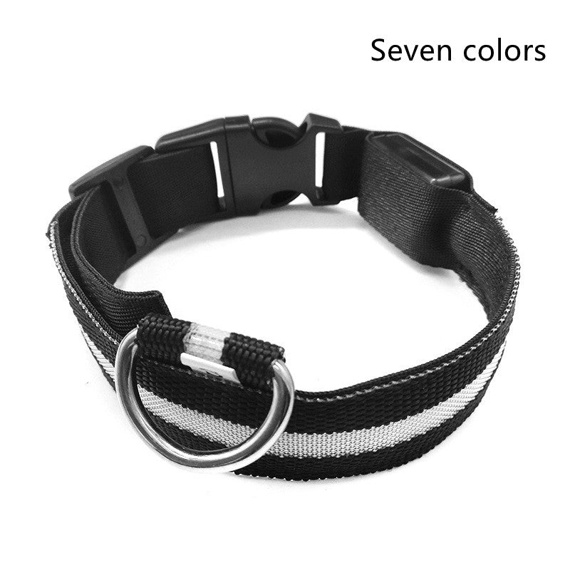 Nylon led pet shops dog collar