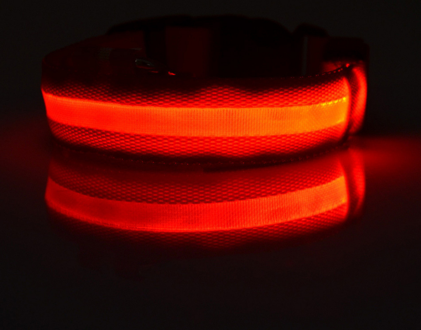 Nylon LED Dog Collar