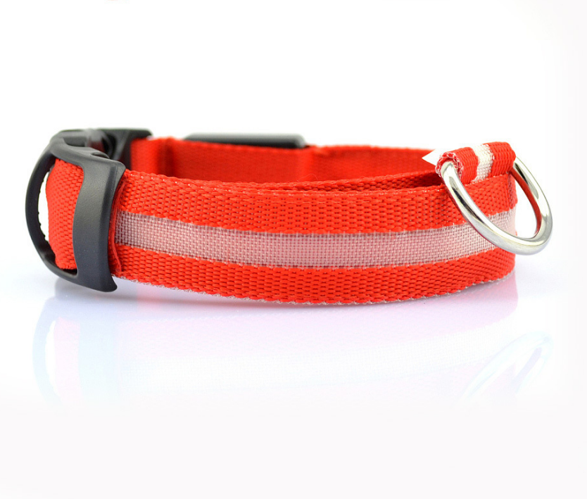 Nylon led dog collar sale