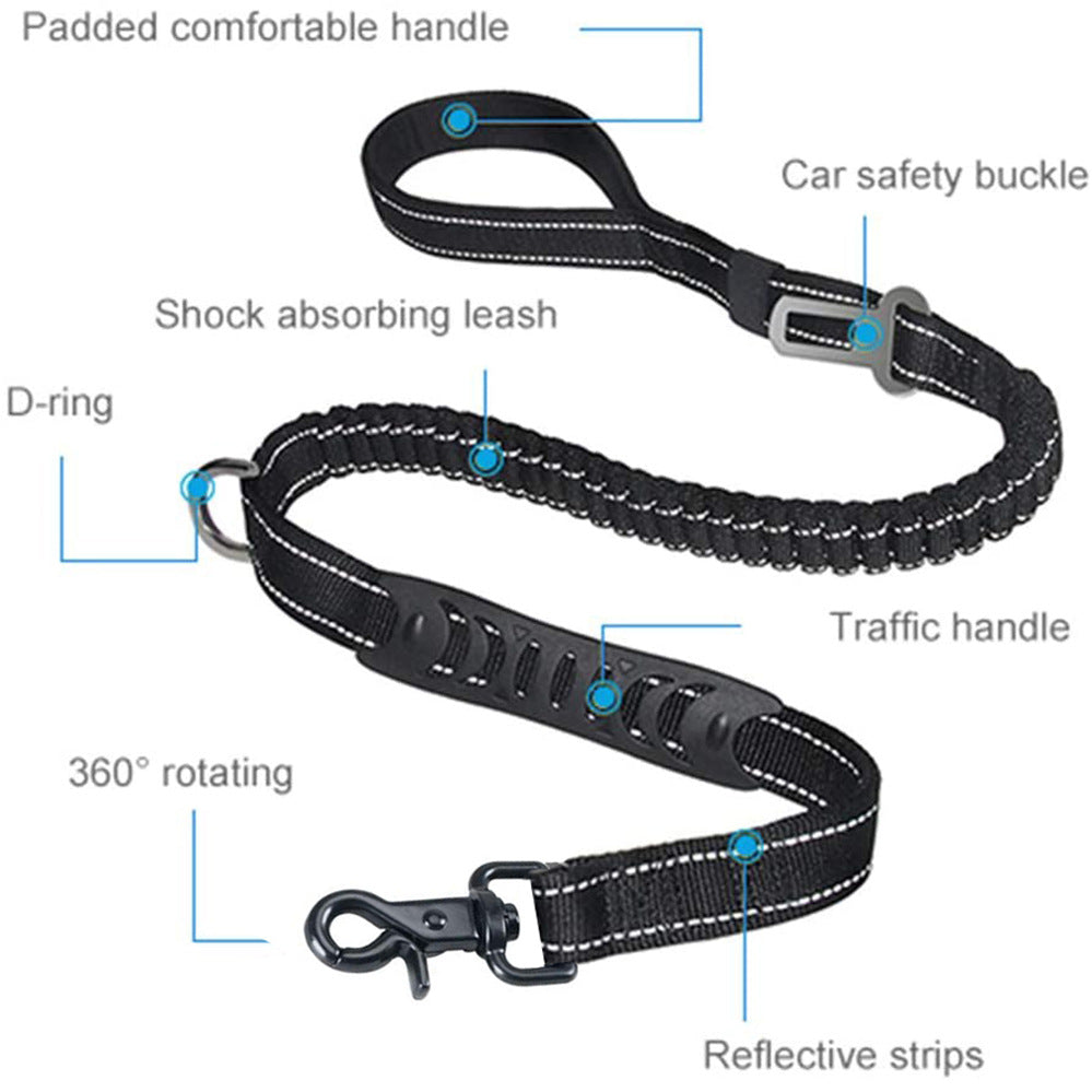 Bungee Dog Leash