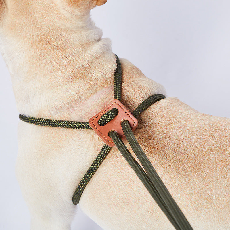 Harness Lead